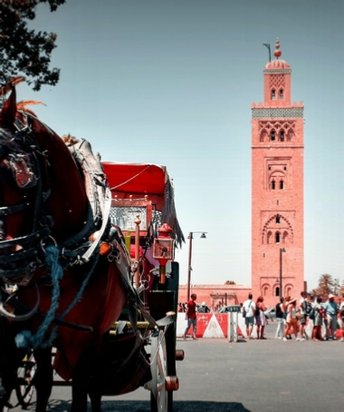 PRIVATE MARRAKECH TRIPS.