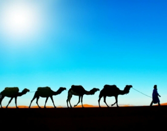 Agadir Tours