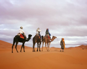 Agadir Tours