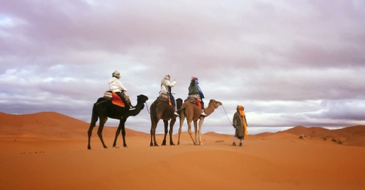 Agadir Tours