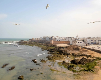 Agadir Tours