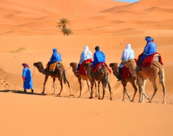 Tour Casablanca