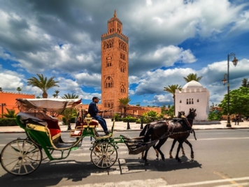 Marrakech 1-Hour Horse-Drawn Carriage Tour