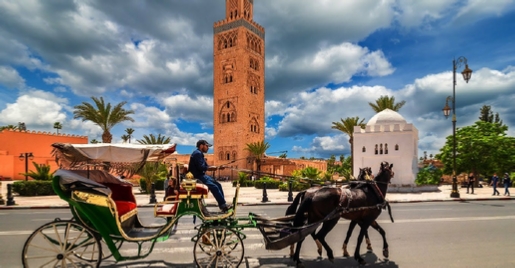 Marrakech 1-Hour Horse-Drawn Carriage Tour