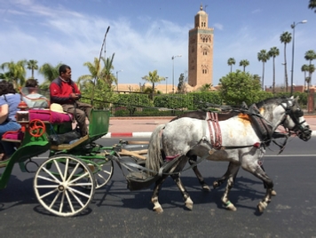 Marrakech 1-Hour Horse-Drawn Carriage Tour