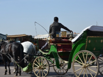 Marrakech 1-Hour Horse-Drawn Carriage Tour