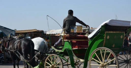 Marrakech 1-Hour Horse-Drawn Carriage Tour