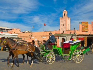 Marrakech 1-Hour Horse-Drawn Carriage Tour