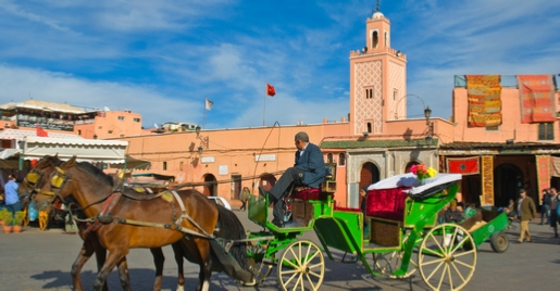 Marrakech 1-Hour Horse-Drawn Carriage Tour