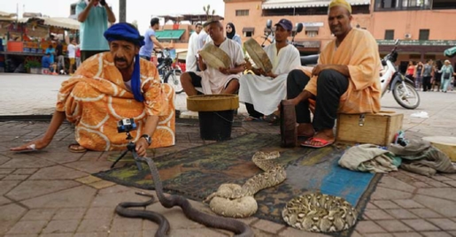 Marrakech Activities