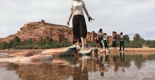 Excursion Marrakech