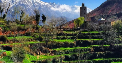 Excursion Marrakech