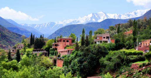 Excursion Marrakech