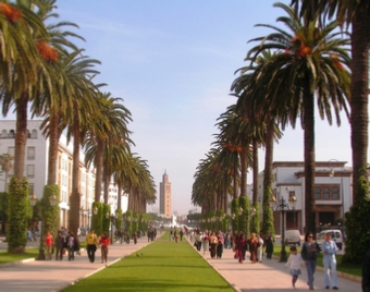 Excursion Marrakech