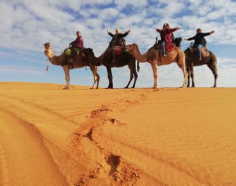 Tour Marrakech