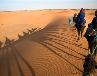 Tour Marrakech