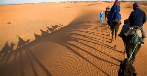 Tour Marrakech