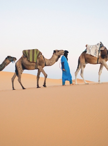 Agadir Tours