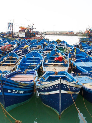 Agadir Tours