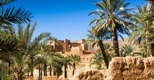 Tour Marrakech