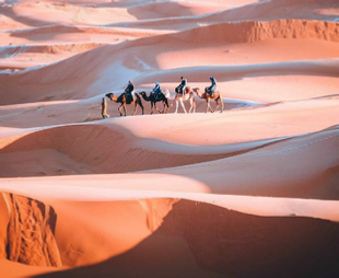 Ouarzazate Trips