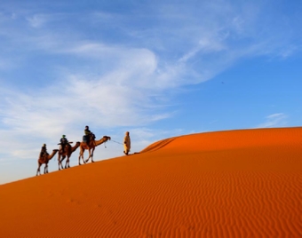 Ouarzazate Tour