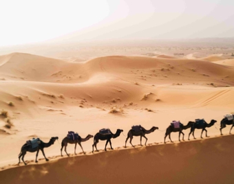 Ouarzazate Tour