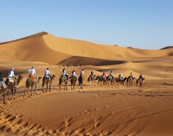 Ouarzazate Tour